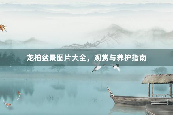 龙柏盆景图片大全，观赏与养护指南